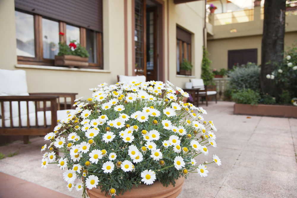 Hotel Giardino Lido di Camaiore Extérieur photo